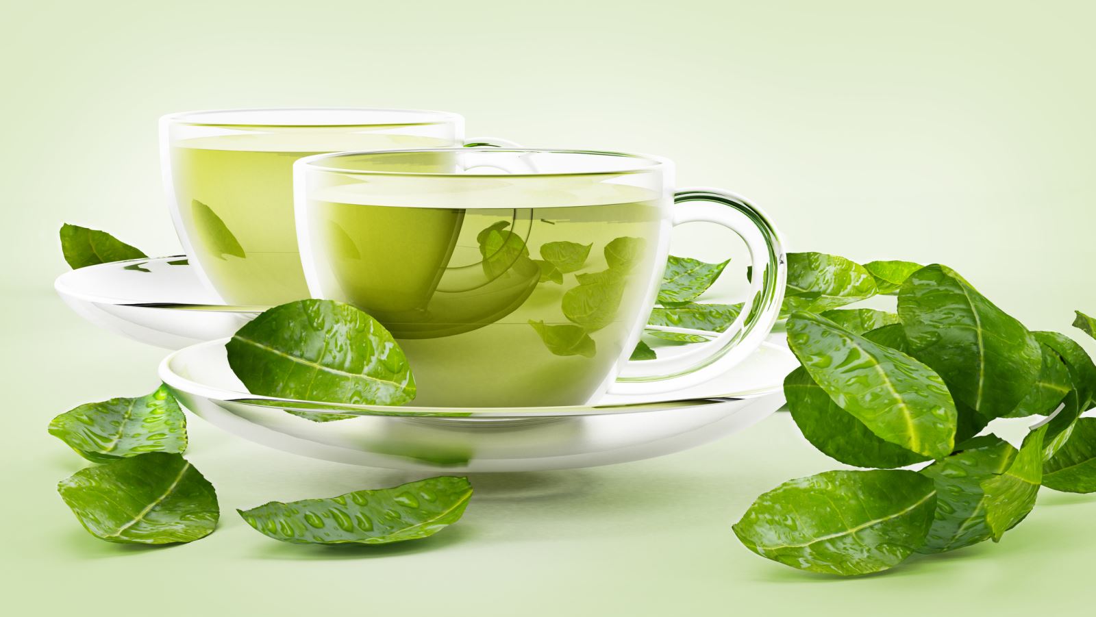 Phát[-]hiện[-]uống[-]trà[-]xanh[-]làm[-]tăng[-]nguy[-]cơ[-]mắc[-]bệnh[-]tiểu[-]đường[-]tuýp[-]2